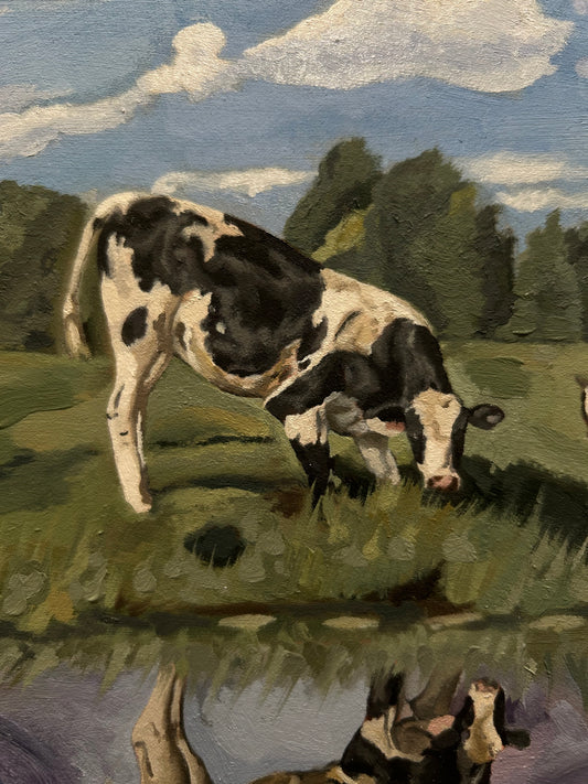 Reflejo Del Otro Mundo