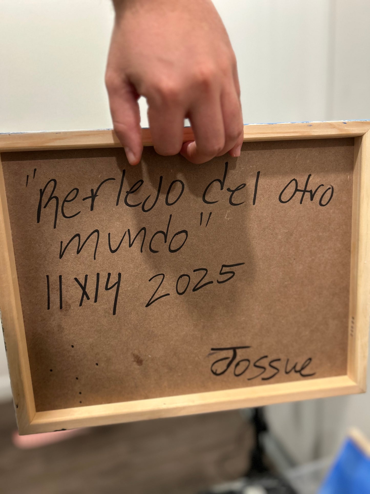 Reflejo Del Otro Mundo